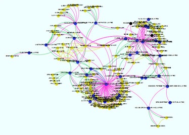 Oversight snapshot of company connections diagram.