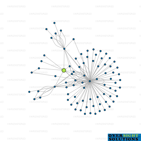 Network diagram for MILFORD FUNDS LTD