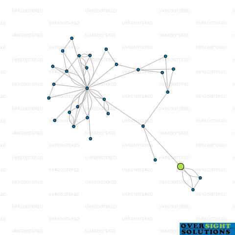 Network diagram for COMET INVESTMENTS LTD