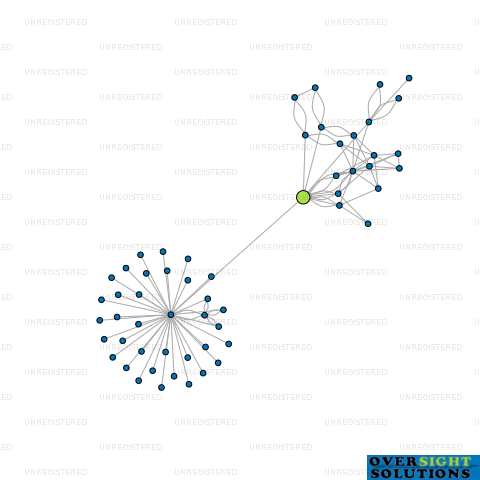 Network diagram for 38 SOUTH INVESTMENT TRUSTEE LTD