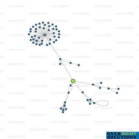 Network diagram for GRINDING GEAR GAMES LTD