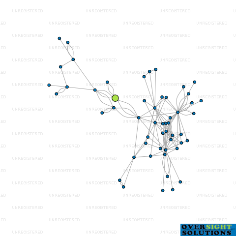 Network diagram for BLINK LTD