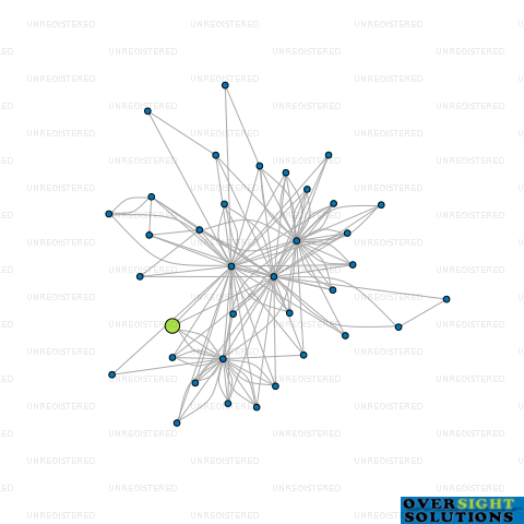 Network diagram for 37 WILSON STREET LTD