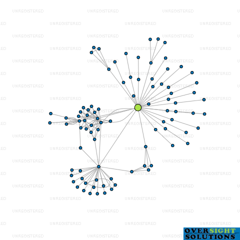 Network diagram for WELLINGTON COMBINED TAXIS 2025 LTD