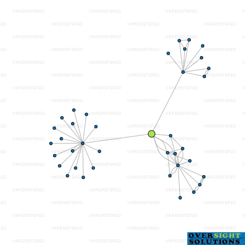 Network diagram for TURANGANUI LTD