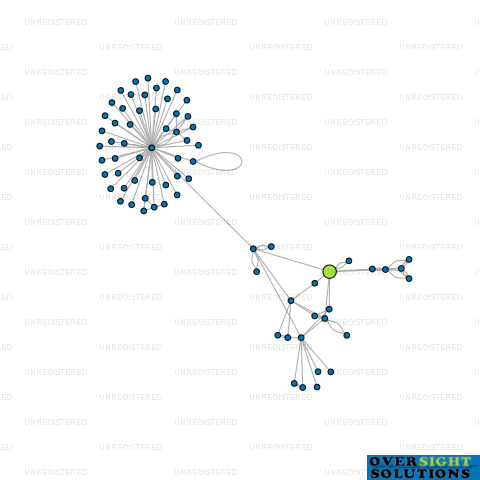 Network diagram for HEART INTERNATIONAL LTD