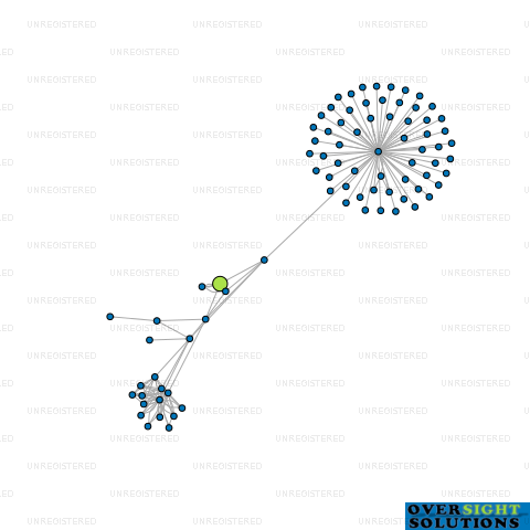 Network diagram for 3 SISTERS LTD