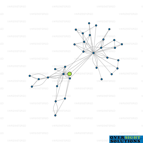 Network diagram for TREASURES LTD