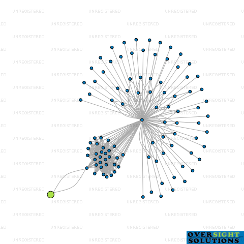 Network diagram for MJ PATEL TRUSTEE LTD