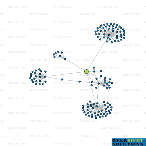 Network diagram for COM INVESTMENTS LTD
