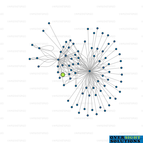 Network diagram for COLOMBO PROPERTY INVESTMENT LTD