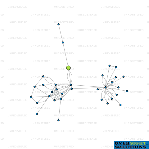 Network diagram for NORTHEAST GROUP LTD
