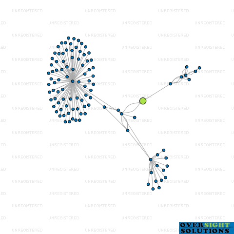 Network diagram for MORGANWG HOLDINGS LTD