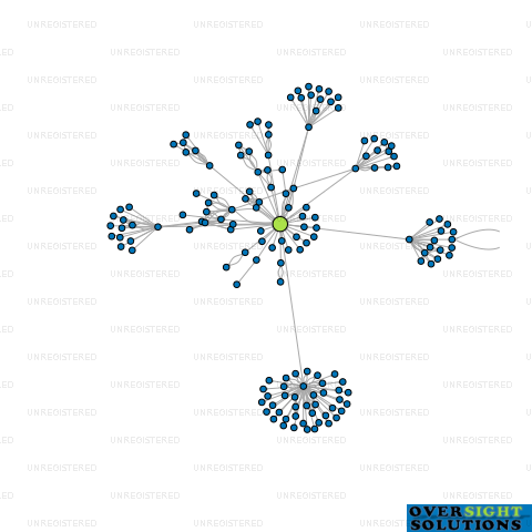 Network diagram for 5TH ELEMENT LTD