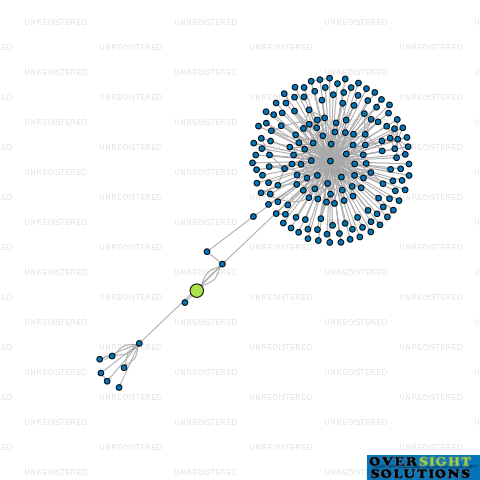Network diagram for EXACT SOLUTIONS LTD