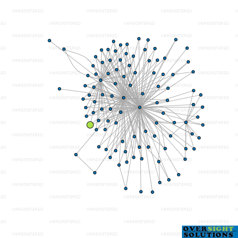 Network diagram for TURANGI LTD