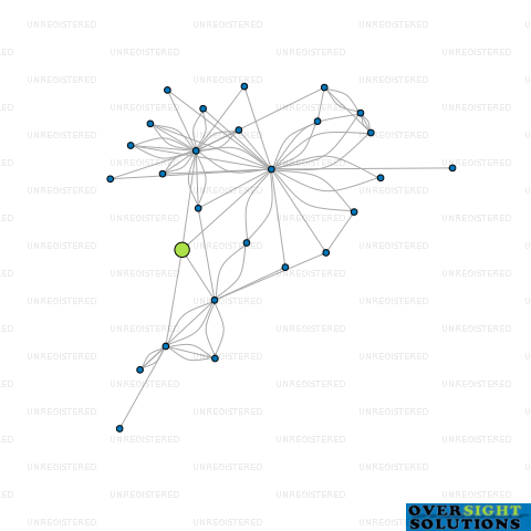Network diagram for 22 ROYAL STREET LTD