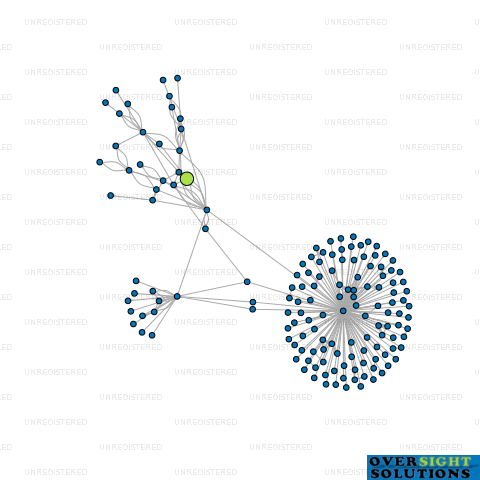 Network diagram for TUI TINY HOMES LTD