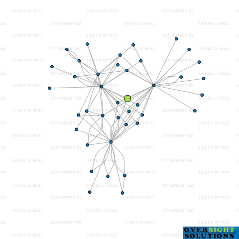 Network diagram for TT DEVELOPMENTS LTD