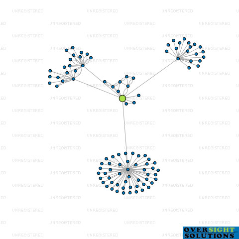 Network diagram for COMMERCIAL CONSULTANTS PN LTD