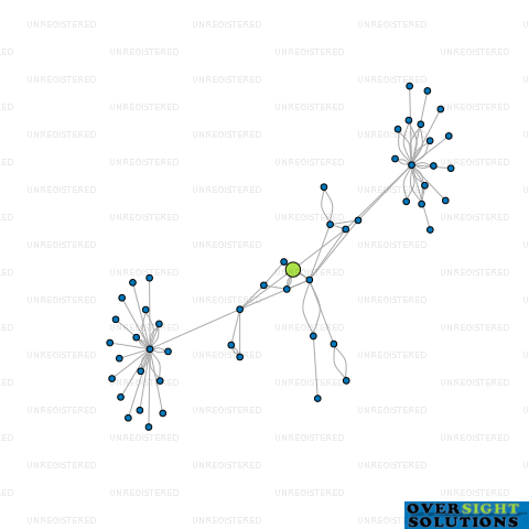 Network diagram for WINTER MILES LTD