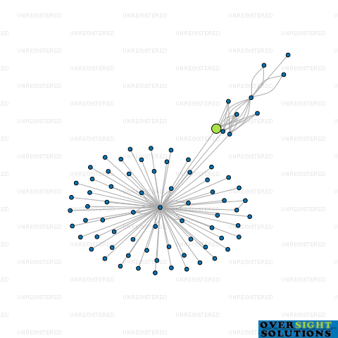 Network diagram for MONEY METRICS LTD