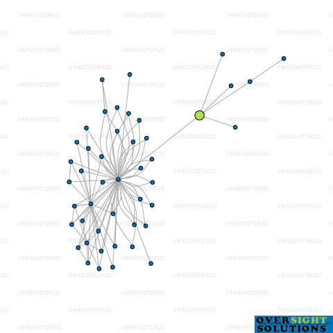 Network diagram for THE THEATRE BEAUTIFUL LTD