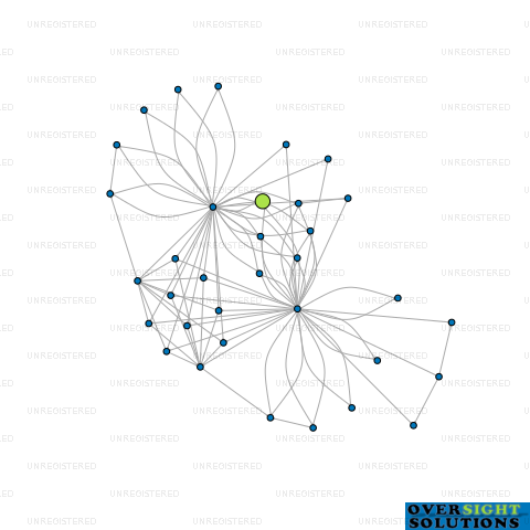 Network diagram for WINCHESTER ST PROJECTS LTD