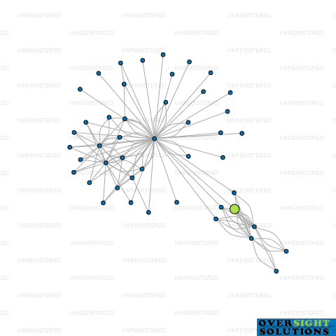Network diagram for D D ARCHITECTS LTD
