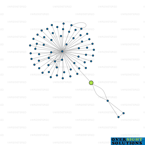 Network diagram for SERAPIS LTD