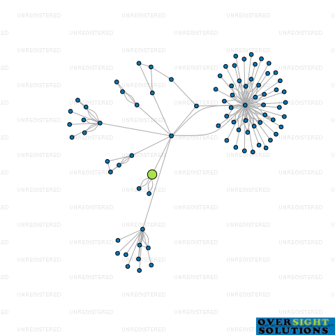 Network diagram for MOGUL LTD