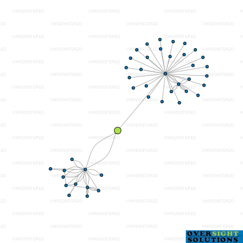 Network diagram for 253 ST HELIERS BAY LTD