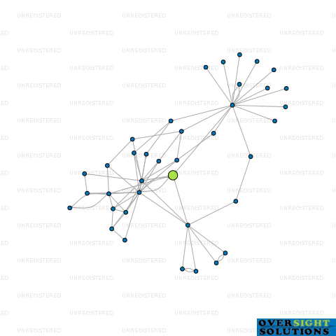 Network diagram for WBF LTD