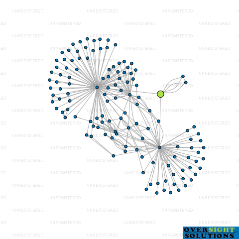 Network diagram for PONTIFEX II LTD