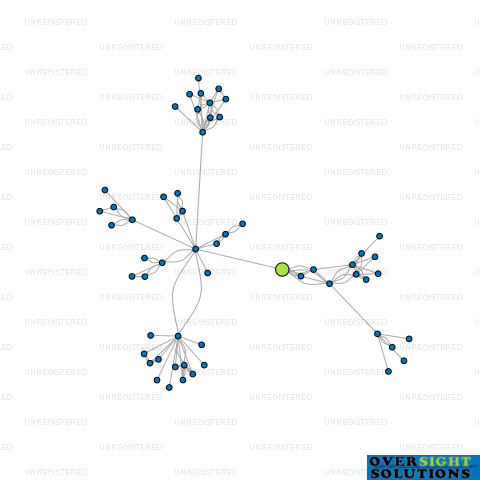 Network diagram for COMPANIONS LTD