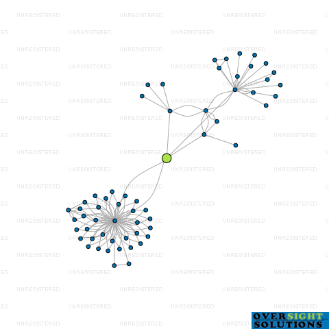 Network diagram for WINE  CHOCOLATE LTD