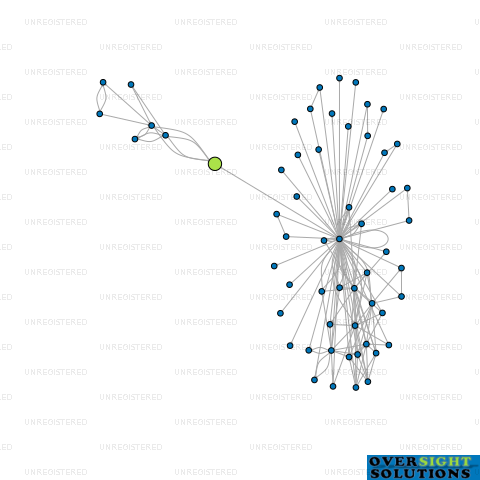 Network diagram for HIKANUI INVESTMENTS LTD