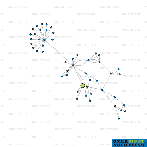 Network diagram for K P STEFFERT TRUSTEE LTD