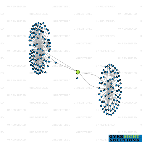 Network diagram for WILTON CLOSE 2021 LTD