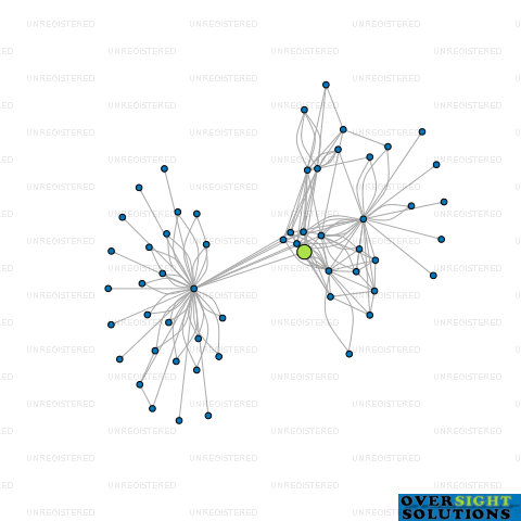 Network diagram for CHAPMAN GROUP LTD