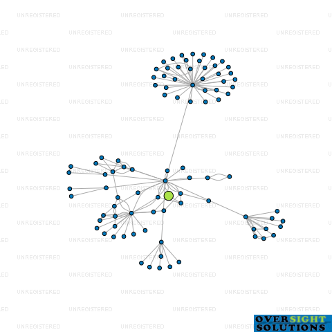 Network diagram for KINGBIRD LTD