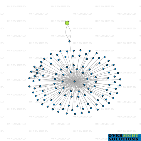 Network diagram for NEW ZEALAND SUPERMARKET LTD