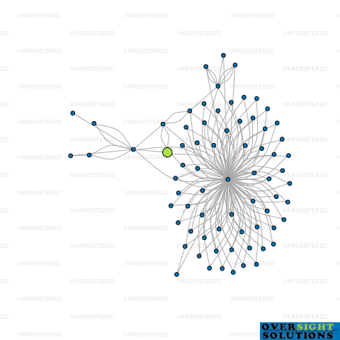 Network diagram for 110 TRUSTEE LTD