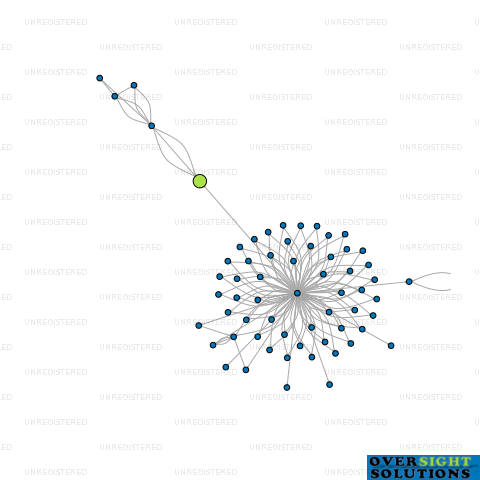 Network diagram for WITEHIRA TRUSTEES COMPANY LTD