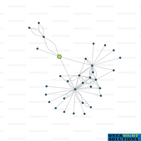 Network diagram for HIDDENHONEY LTD