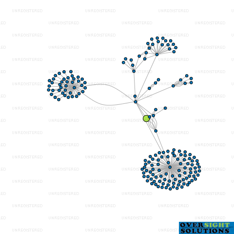 Network diagram for 141 DEVELOPMENT LTD