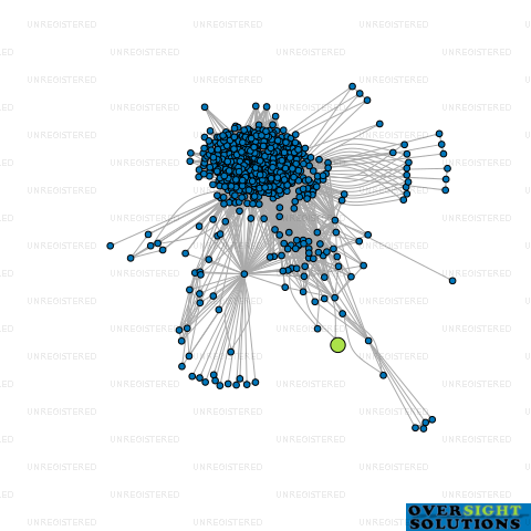 Network diagram for SS SODHI LTD