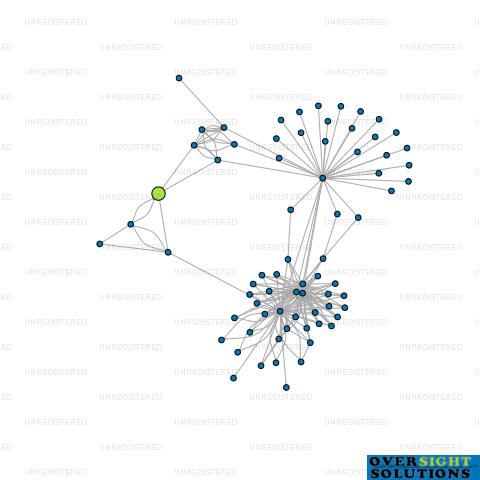 Network diagram for SHEET PILE NZ LTD