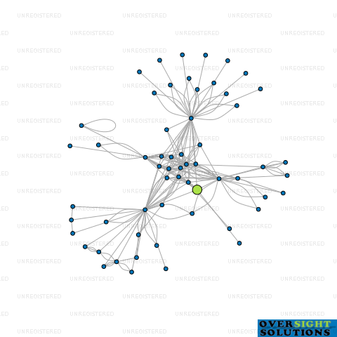 Network diagram for WIMBLEDON INVESTMENTS LTD