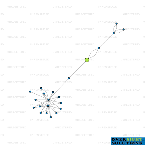 Network diagram for WET PEBBLES LTD